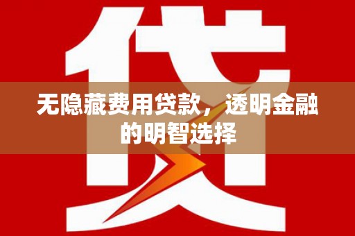 大名无隐藏费用贷款，透明金融的明智选择