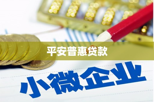 大名平安普惠贷款