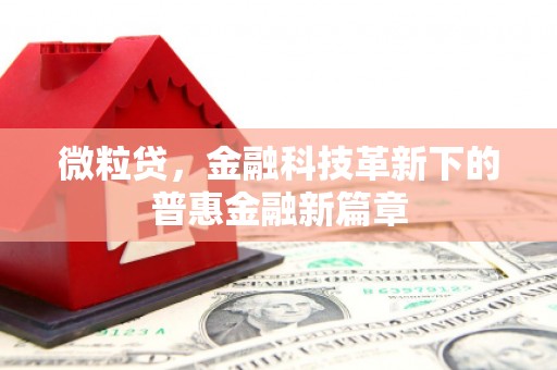 大名微粒贷，金融科技革新下的普惠金融新篇章