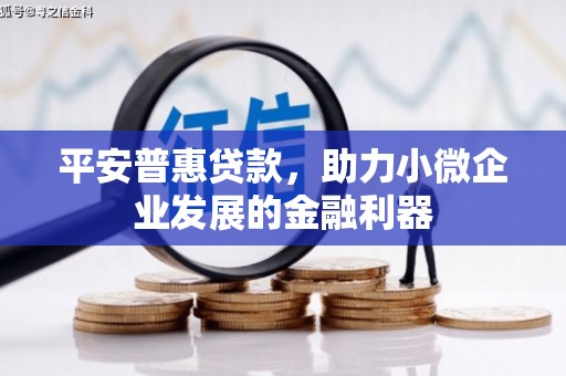 大名平安普惠贷款，助力小微企业发展的金融利器