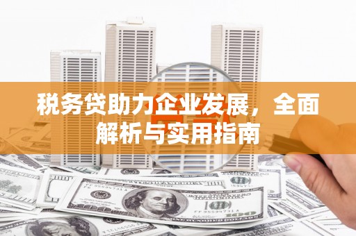 大名税务贷助力企业发展，全面解析与实用指南