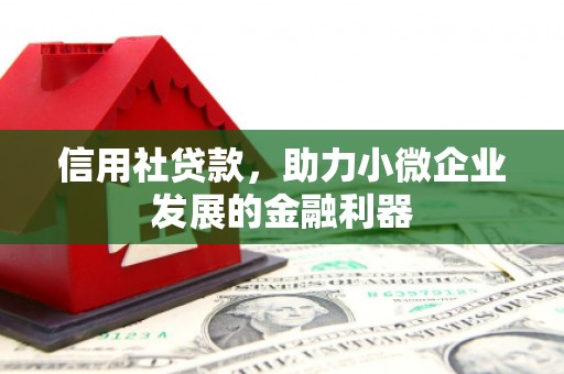 大名信用社贷款，助力小微企业发展的金融利器