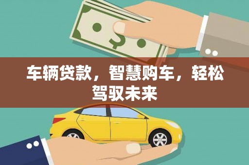 大名车辆贷款，智慧购车，轻松驾驭未来