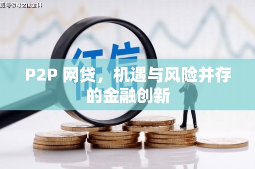 大名P2P 网贷，机遇与风险并存的金融创新