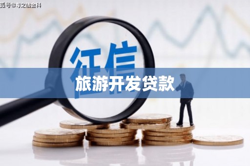 大名旅游开发贷款