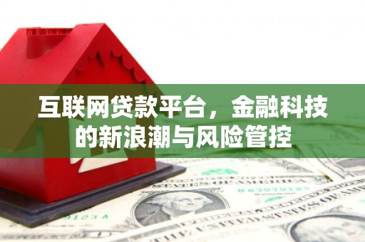 大名互联网贷款平台，金融科技的新浪潮与风险管控