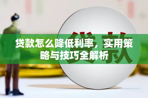大名贷款怎么降低利率，实用策略与技巧全解析
