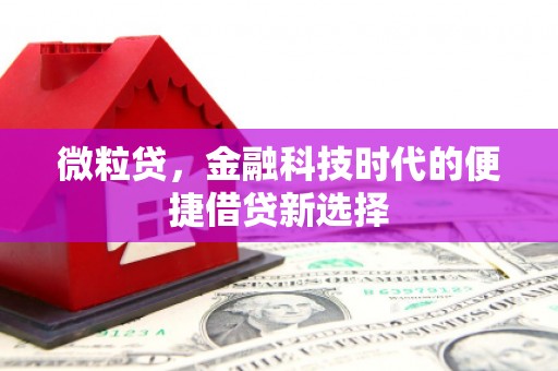 大名微粒贷，金融科技时代的便捷借贷新选择