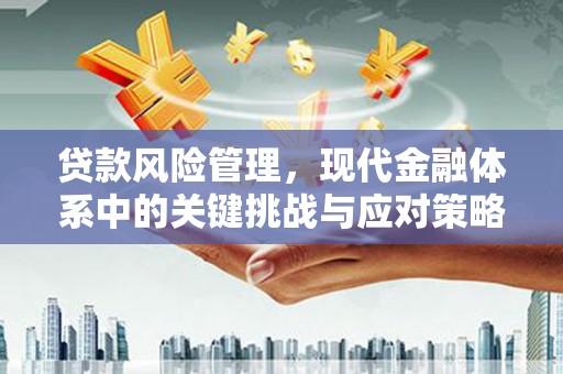 大名贷款风险管理，现代金融体系中的关键挑战与应对策略