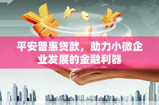 大名平安普惠贷款，助力小微企业发展的金融利器