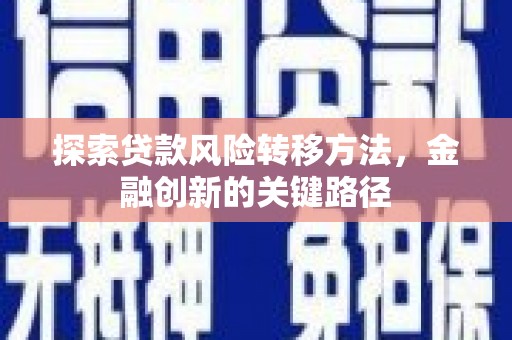 大名探索贷款风险转移方法，金融创新的关键路径