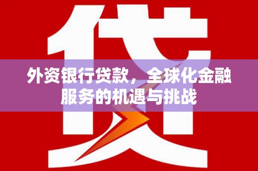 大名外资银行贷款，全球化金融服务的机遇与挑战