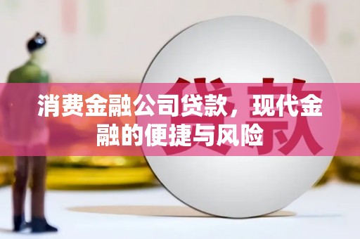 大名消费金融公司贷款，现代金融的便捷与风险