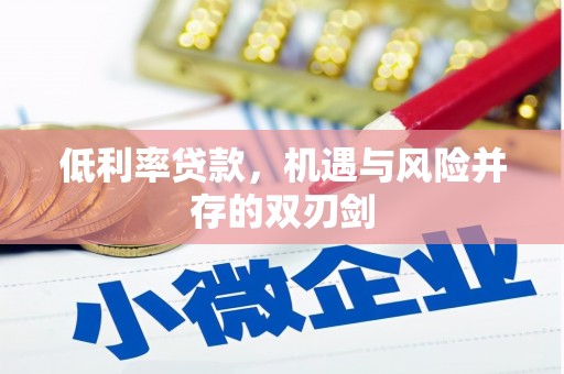 大名低利率贷款，机遇与风险并存的双刃剑