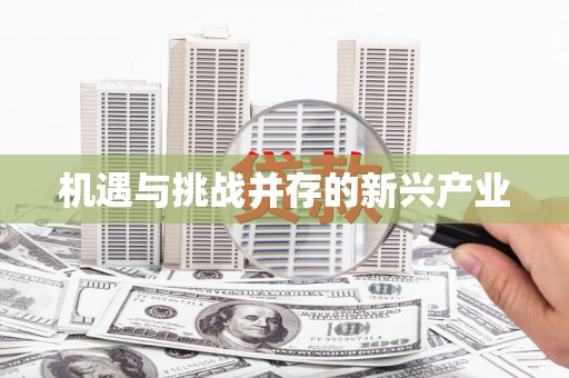 大名机遇与挑战并存的新兴产业