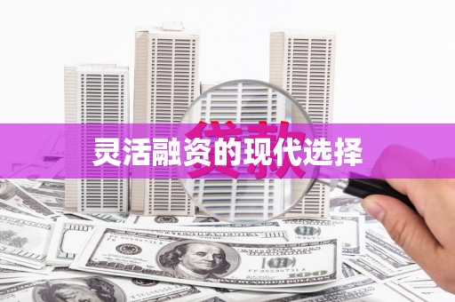 大名灵活融资的现代选择