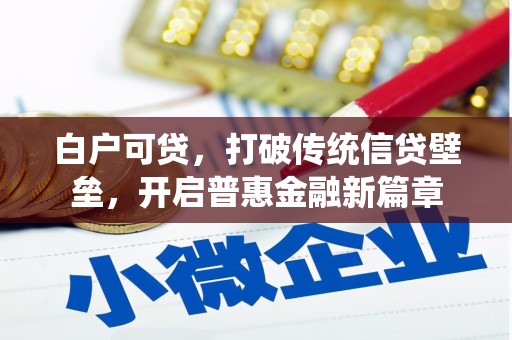 大名白户可贷，打破传统信贷壁垒，开启普惠金融新篇章