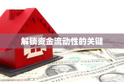 大名解锁资金流动性的关键