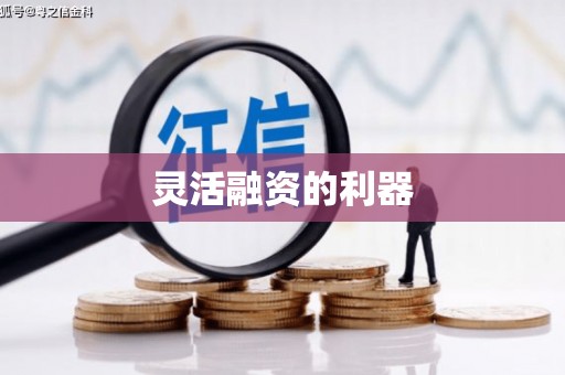 大名灵活融资的利器