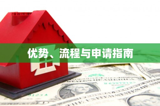 大名优势、流程与申请指南
