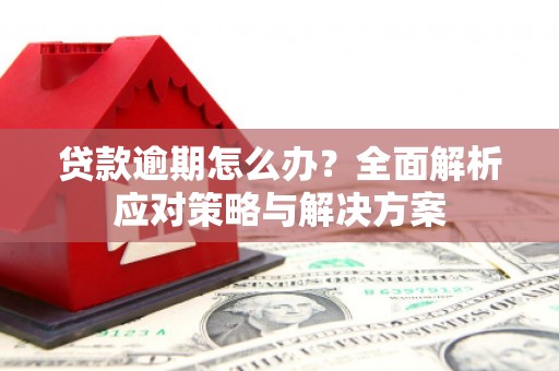 大名贷款逾期怎么办？全面解析应对策略与解决方案