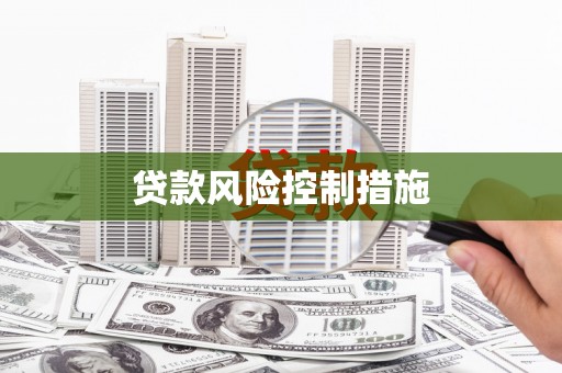 大名贷款风险控制措施
