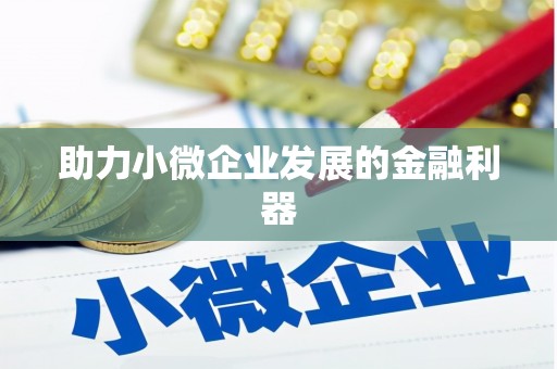 大名助力小微企业发展的金融利器