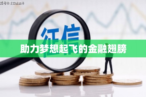 大名助力梦想起飞的金融翅膀