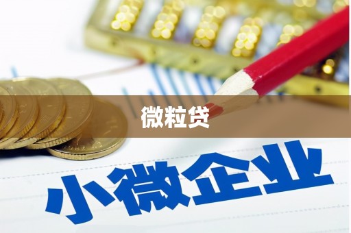 大名微粒贷