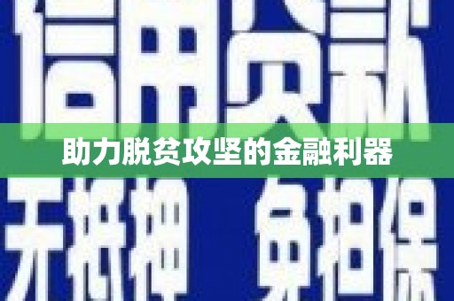 大名助力脱贫攻坚的金融利器