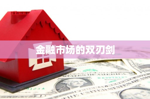 大名金融市场的双刃剑