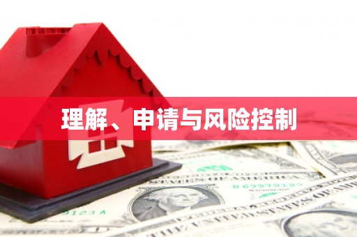 大名理解、申请与风险控制