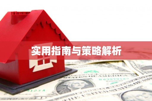 大名实用指南与策略解析