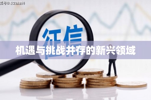大名机遇与挑战并存的新兴领域