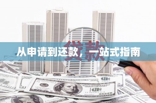 大名从申请到还款，一站式指南