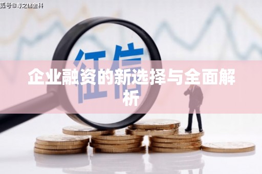 大名企业融资的新选择与全面解析