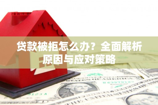 大名贷款被拒怎么办？全面解析原因与应对策略