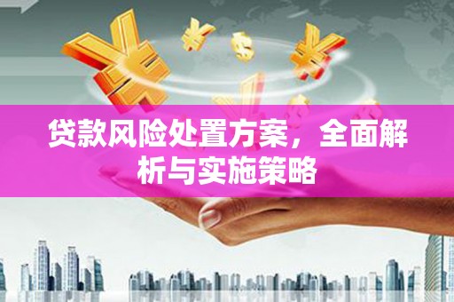 大名贷款风险处置方案，全面解析与实施策略