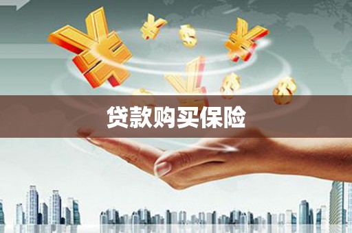 大名贷款购买保险