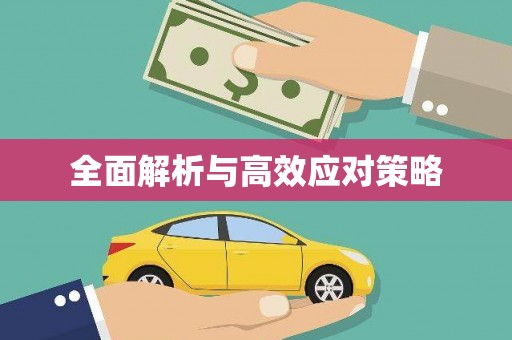 大名全面解析与高效应对策略