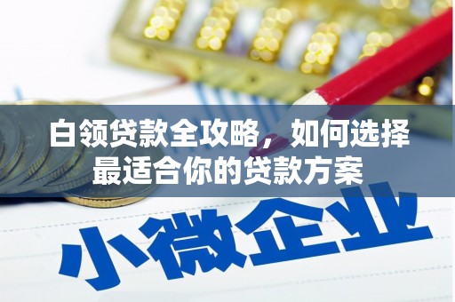 大名白领贷款全攻略，如何选择最适合你的贷款方案