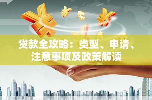 大名贷款全攻略：类型、申请、注意事项及政策解读
