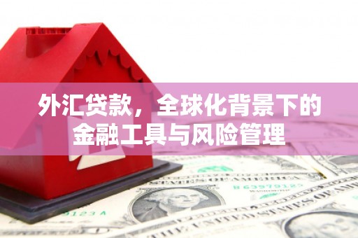 大名外汇贷款，全球化背景下的金融工具与风险管理