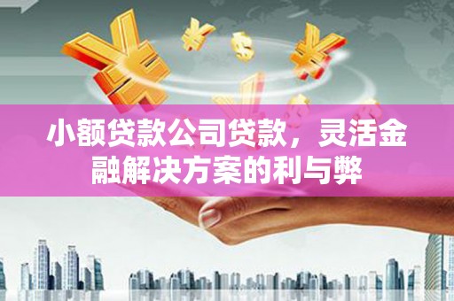大名小额贷款公司贷款，灵活金融解决方案的利与弊